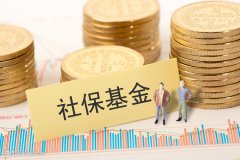 “中字头”指数基金大盘点