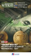 美元半年大跌10%创38年纪录稳定币能否为它“续命