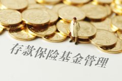 新华鑫日享中短债B